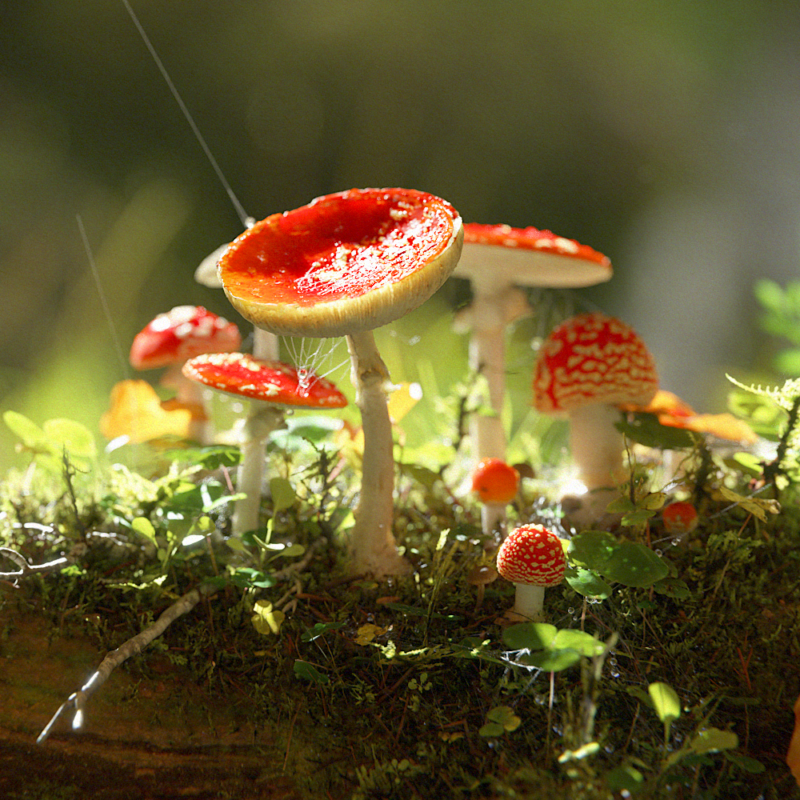 Close-up of a 3D fly agaric mushroom – Muscaria