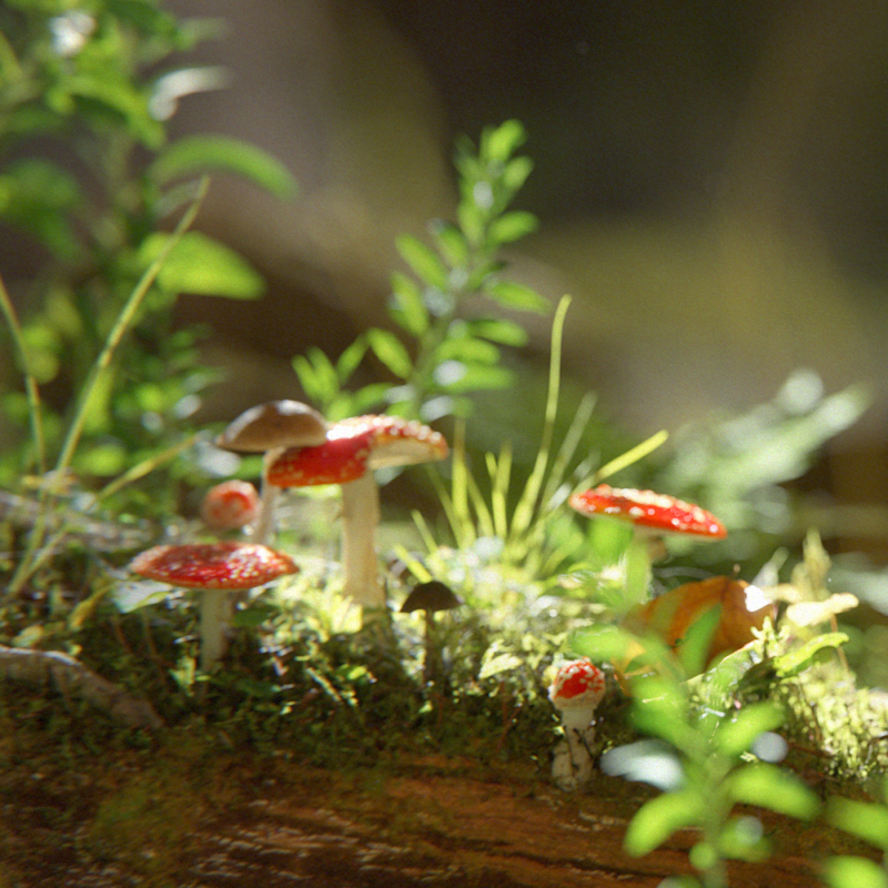 Close-up of a 3D fly agaric mushroom – Muscaria