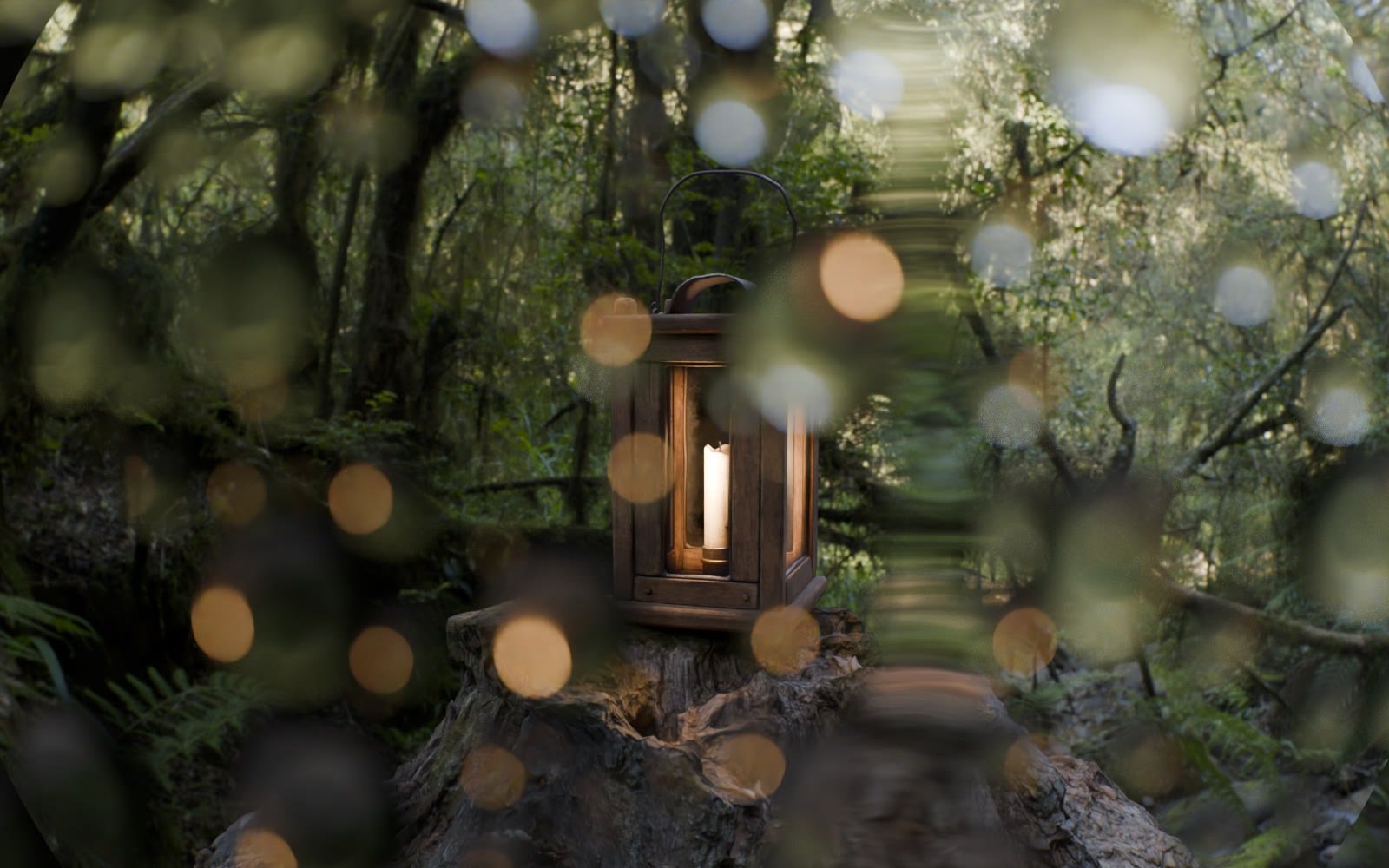 Large rain drops on the lens in a forest scene