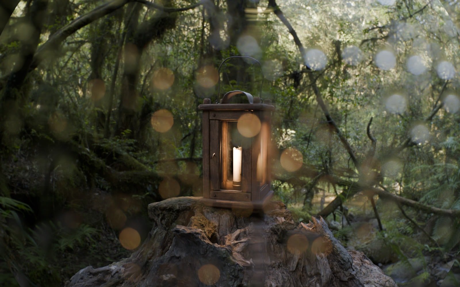 Medium rain drops on the lens in a forest scene