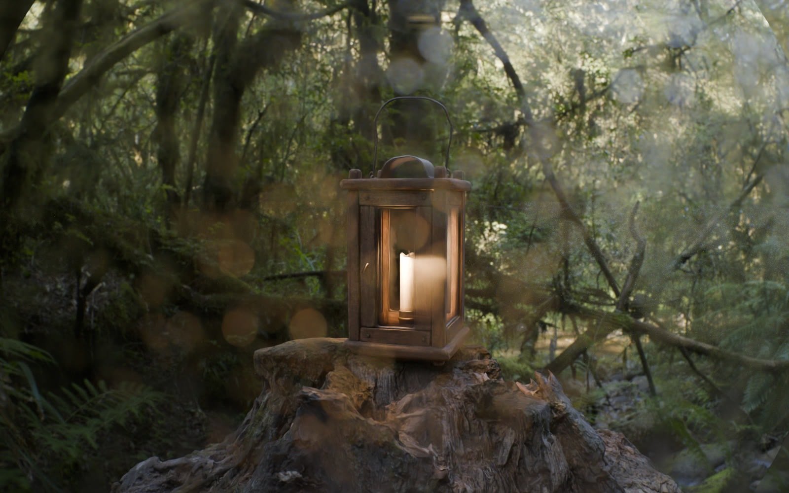 Small rain drops on the lens in a forest scene