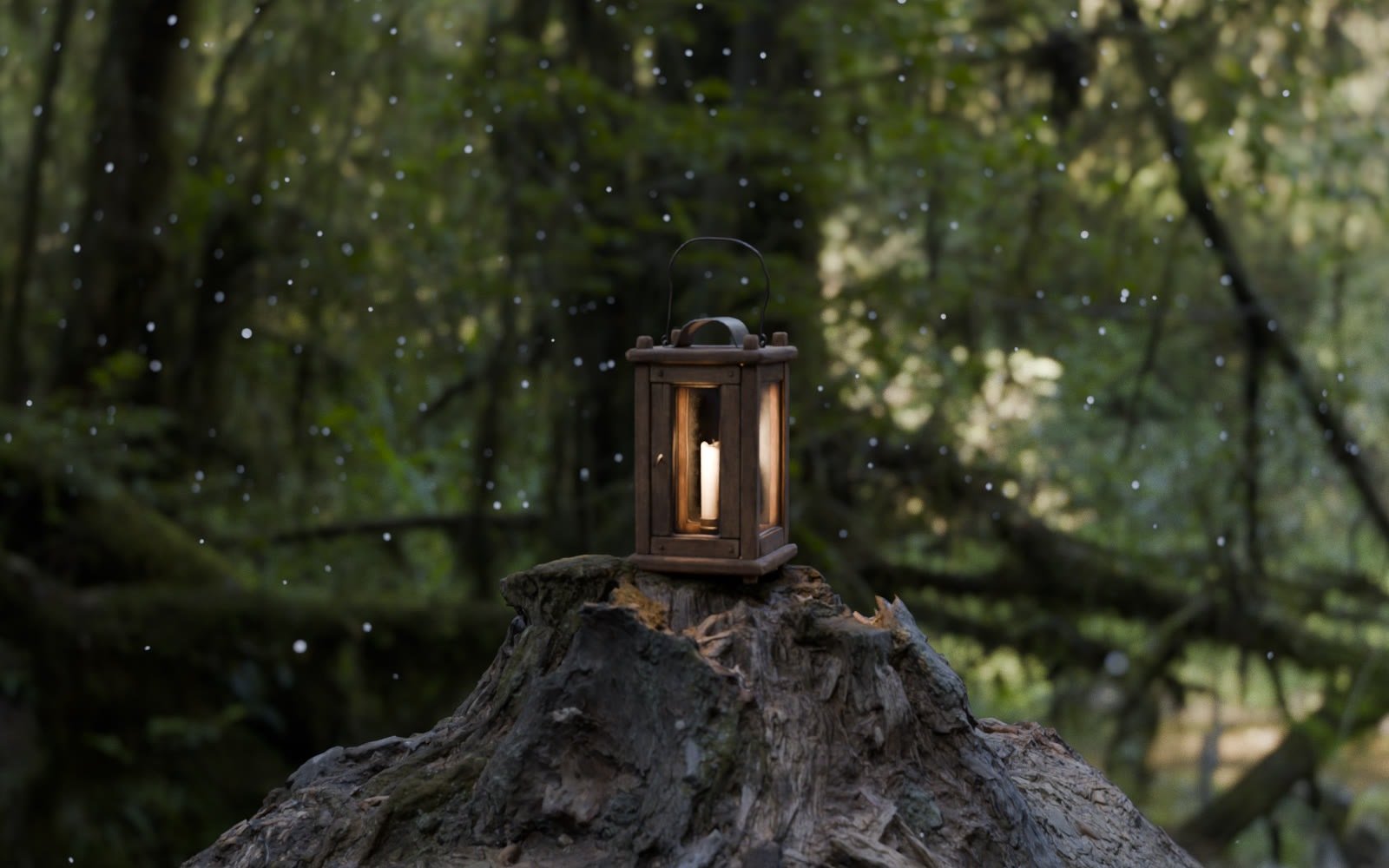 Dust motes around a lantern