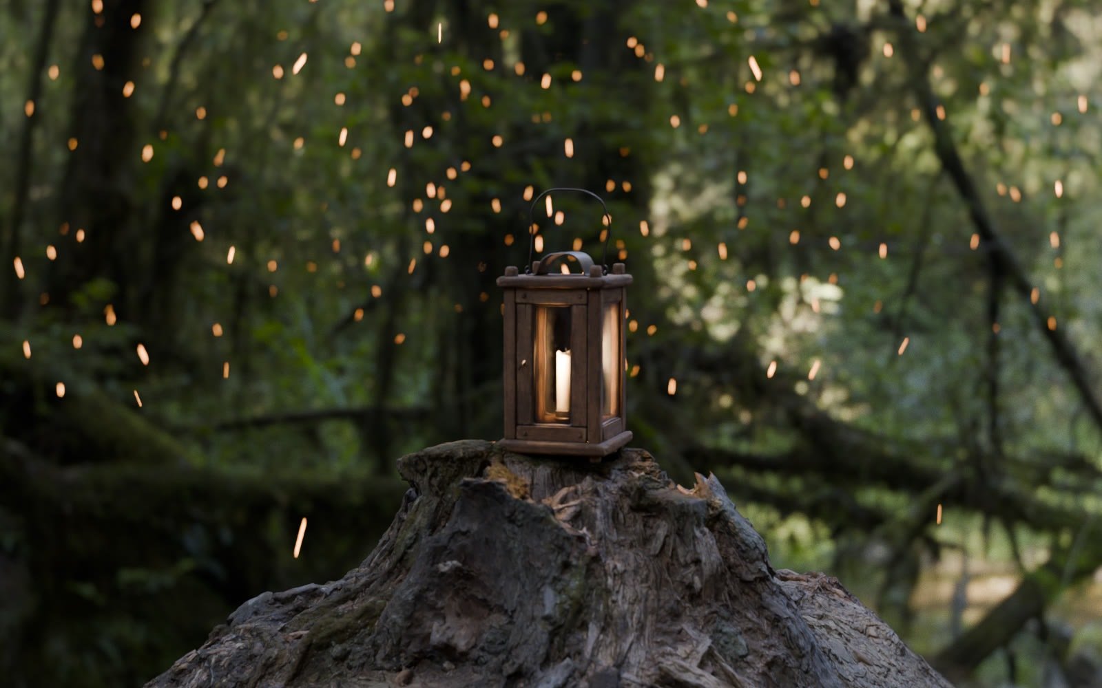 Embers rising around a lantern