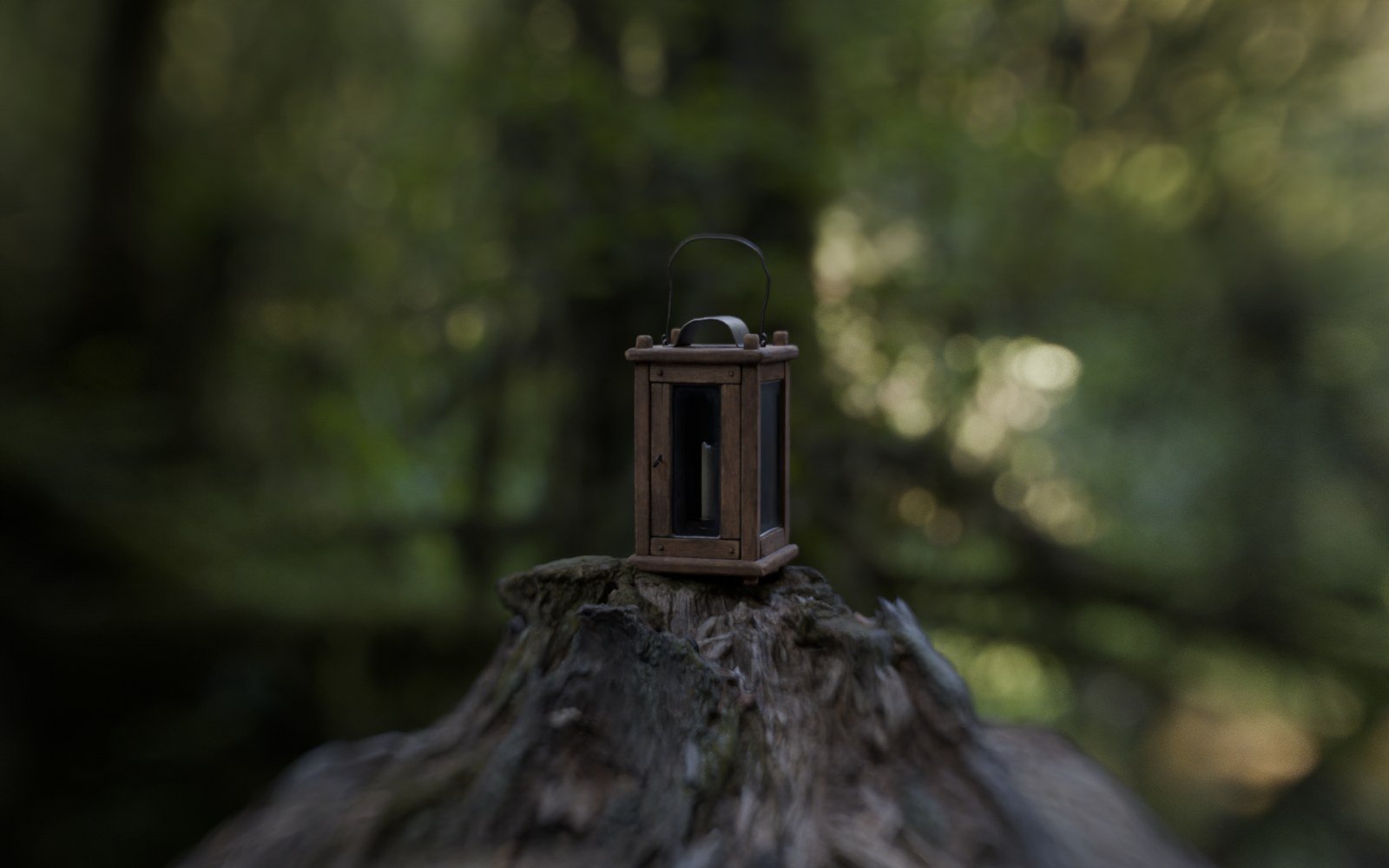Woodland rendered through the Oris K35-style 50mm T1.4 lens