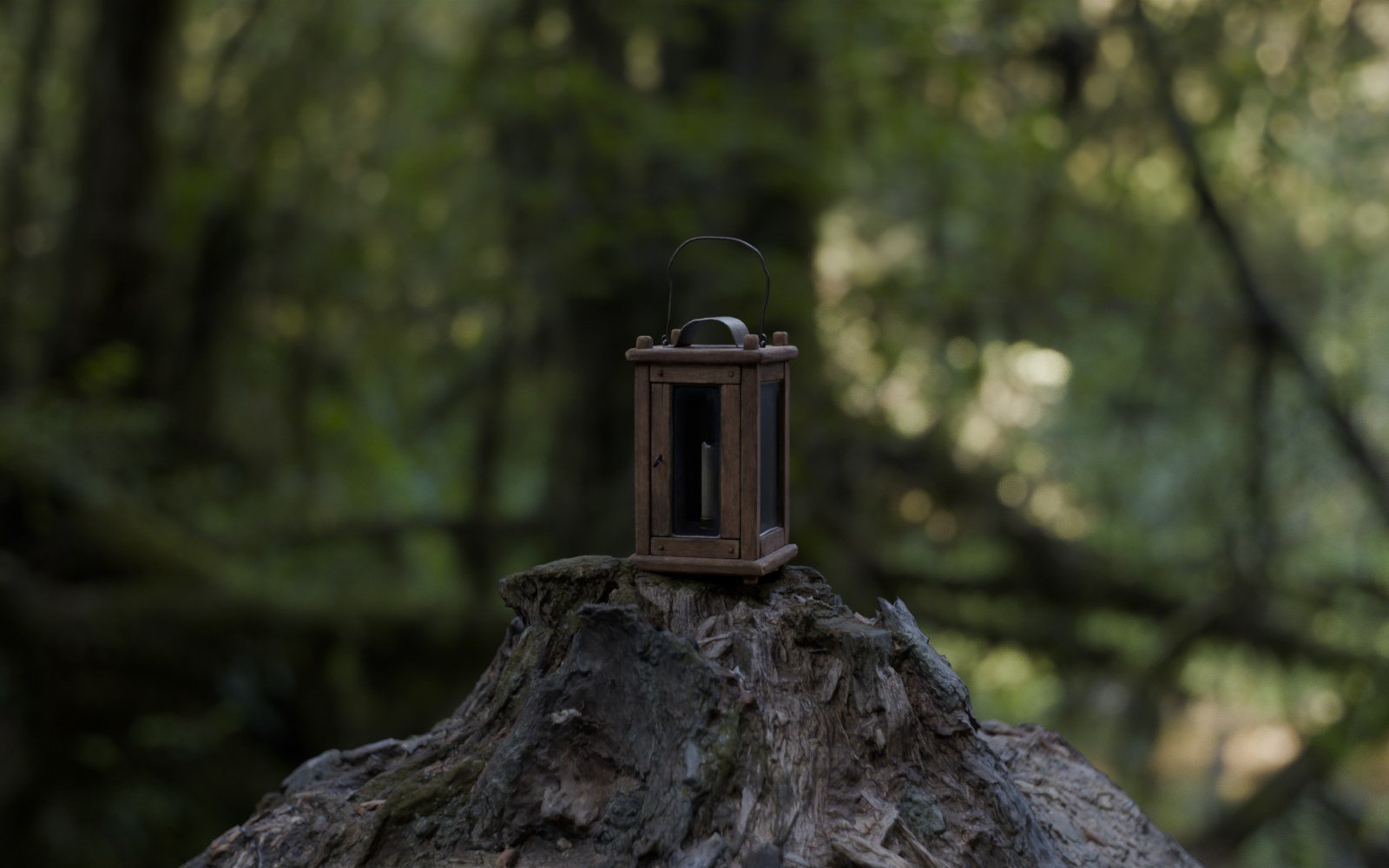 Woodland rendered through the Oris Primo-style 50mm T1.9 lens