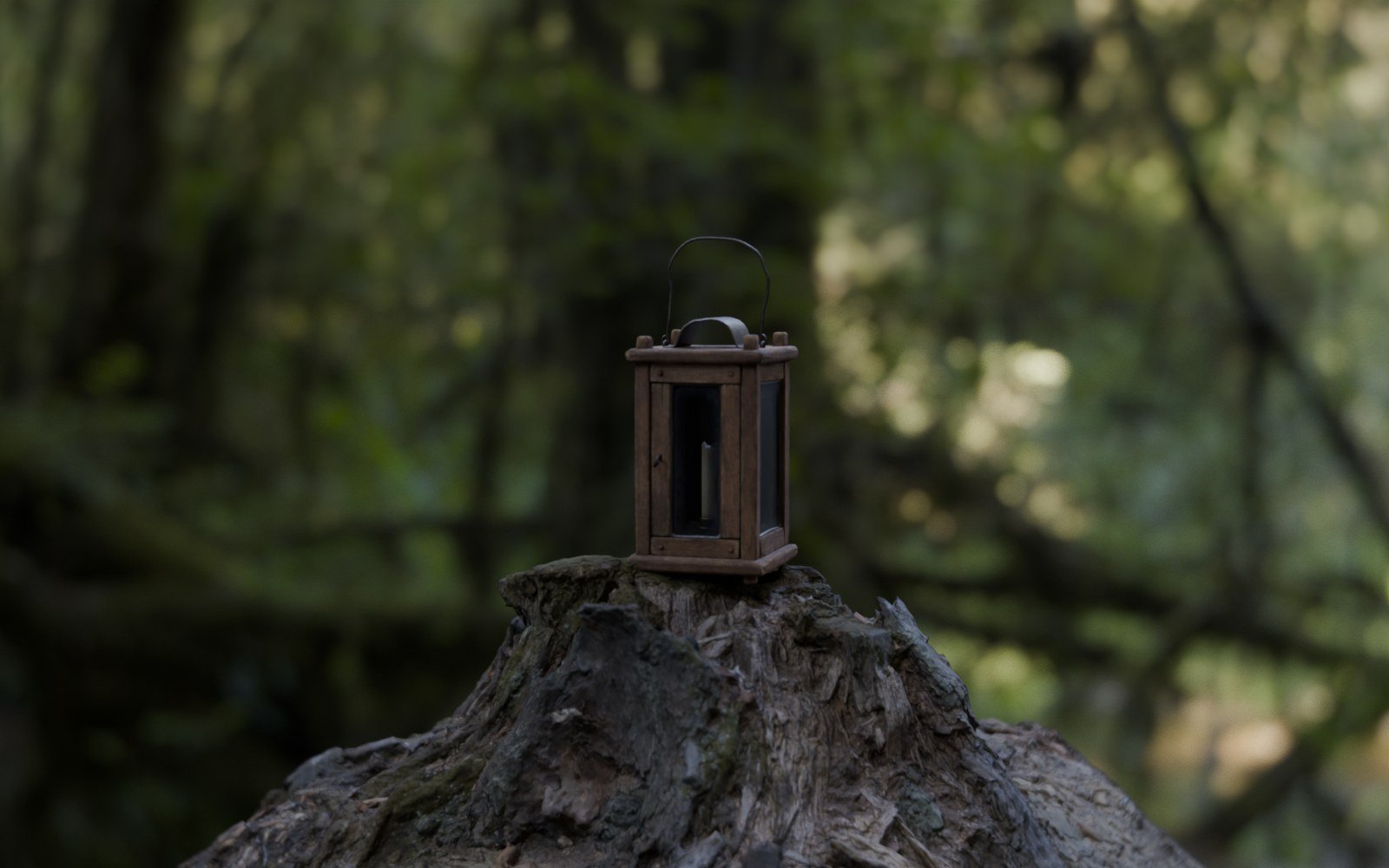 Woodland rendered through the Oris Supreme-style 50mm T1.5 lens