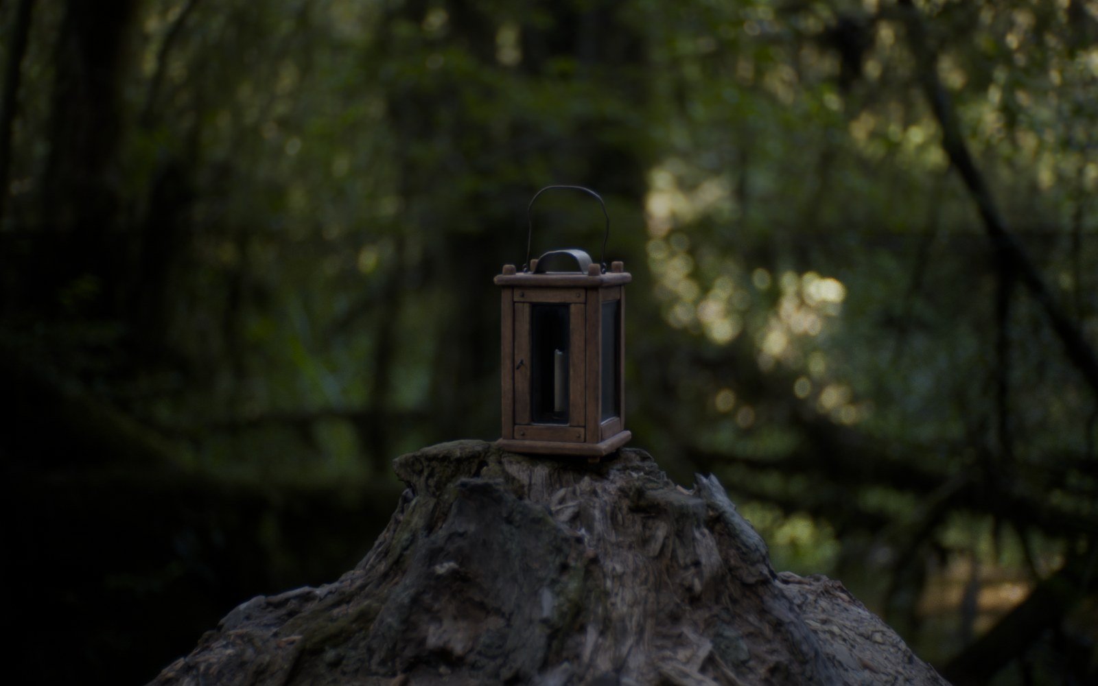 Woodland rendered through the Oris Double Gauss 50mm f/2 lens