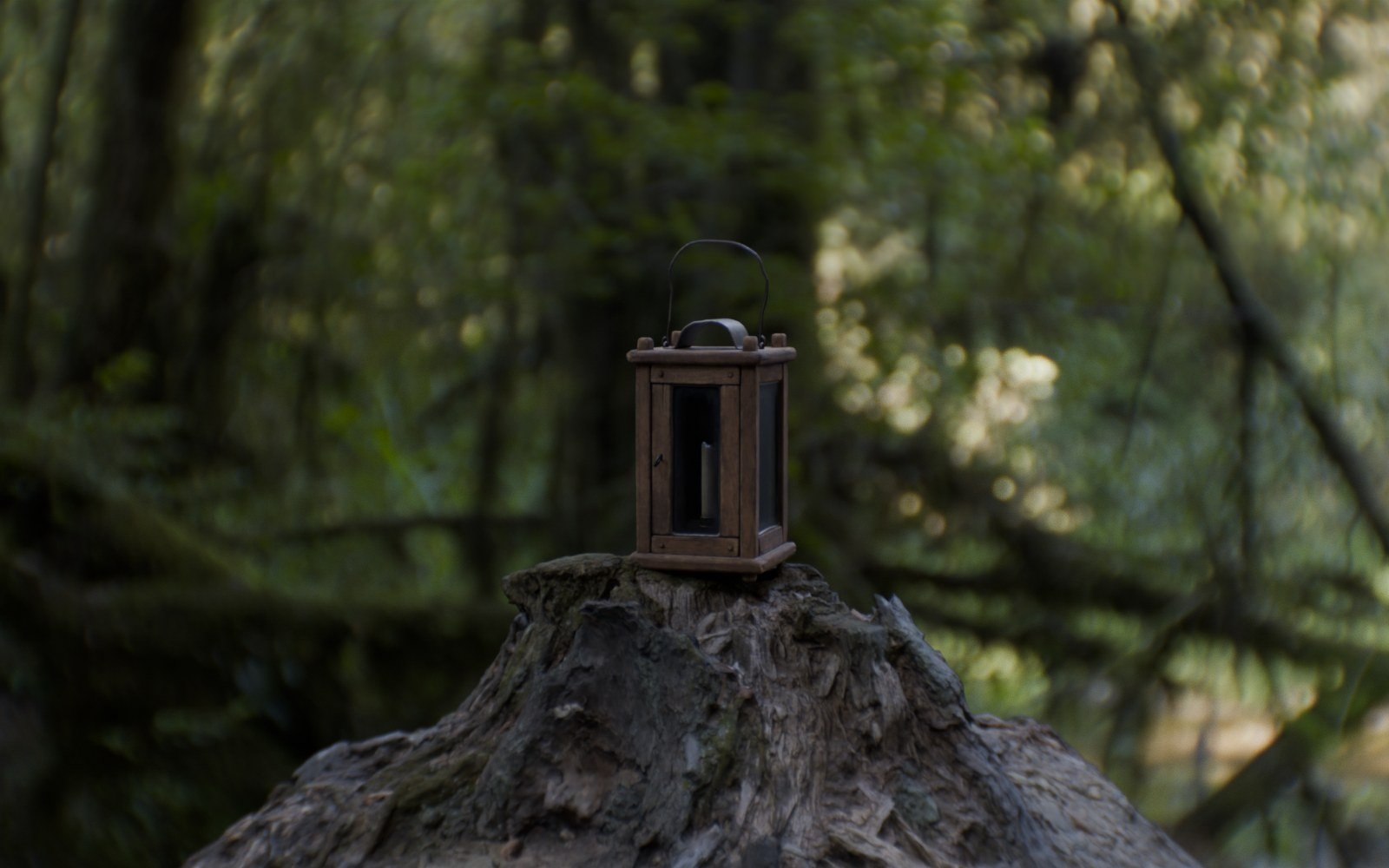 Woodland rendered through the Oris Retrofocus 24mm f/2.8 lens